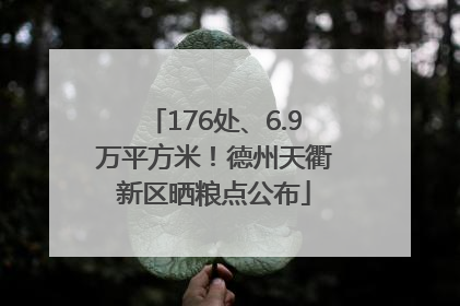 176处、6.9万平方米！德州天衢新区晒粮点公布