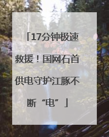 17分钟极速救援！国网石首供电守护江豚不断“电”