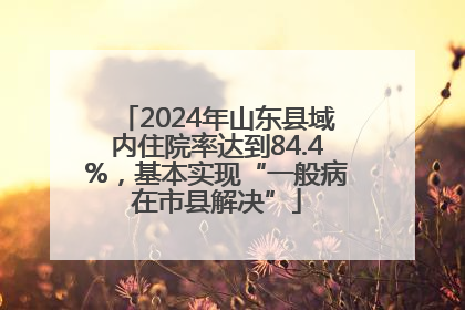 2024年山东县域内住院率达到84.4%，基本实现“一般病在市县解决”
