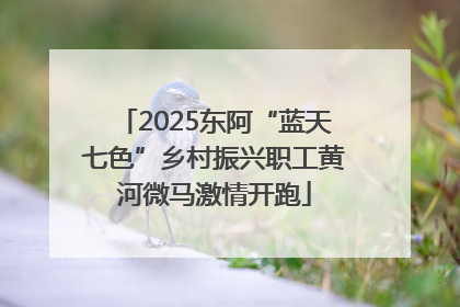 2025东阿“蓝天七色”乡村振兴职工黄河微马激情开跑