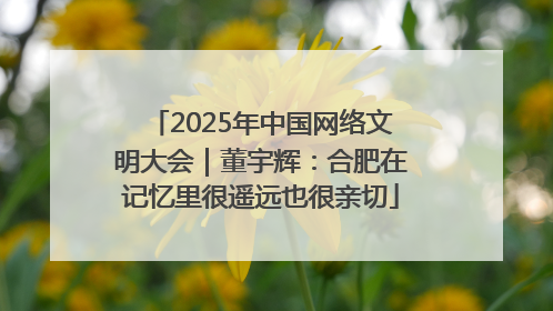 2025年中国网络文明大会｜董宇辉：合肥在记忆里很遥远也很亲切