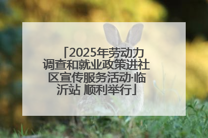 2025年劳动力调查和就业政策进社区宣传服务活动·临沂站 顺利举行