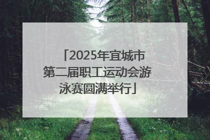 2025年宜城市第二届职工运动会游泳赛圆满举行