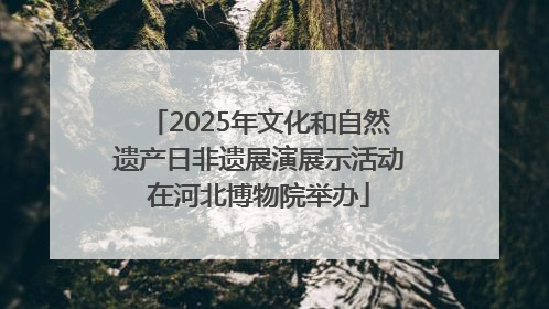 2025年文化和自然遗产日非遗展演展示活动在河北博物院举办
