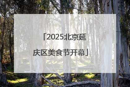 2025北京延庆区美食节开幕