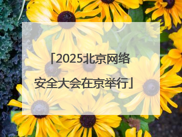 2025北京网络安全大会在京举行