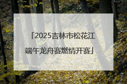 2025吉林市松花江端午龙舟赛燃情开赛