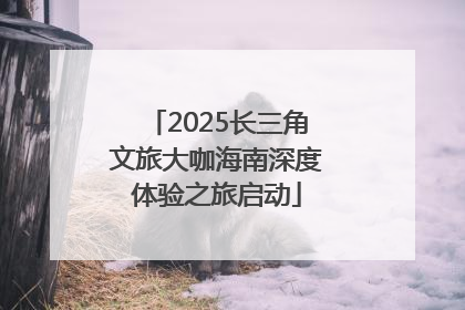 2025长三角文旅大咖海南深度体验之旅启动
