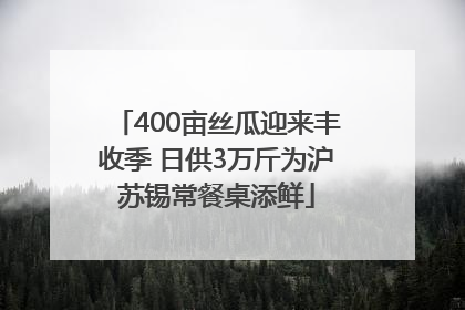 400亩丝瓜迎来丰收季 日供3万斤为沪苏锡常餐桌添鲜