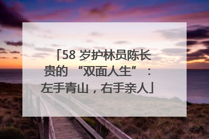 58 岁护林员陈长贵的 “双面人生”：左手青山，右手亲人
