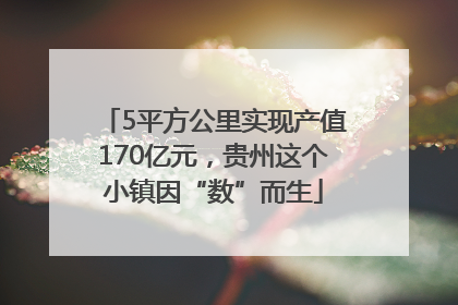 5平方公里实现产值170亿元，贵州这个小镇因“数”而生