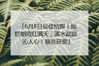 6月8日最佳情报｜灿烂朝霞红满天，溪水潺潺沁人心！恭喜获奖