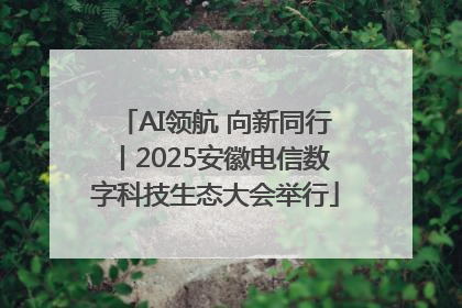 AI领航 向新同行丨2025安徽电信数字科技生态大会举行