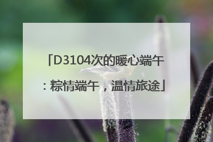 D3104次的暖心端午：粽情端午，温情旅途