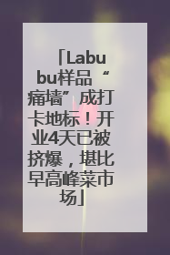 Labubu样品“痛墙”成打卡地标！开业4天已被挤爆，堪比早高峰菜市场