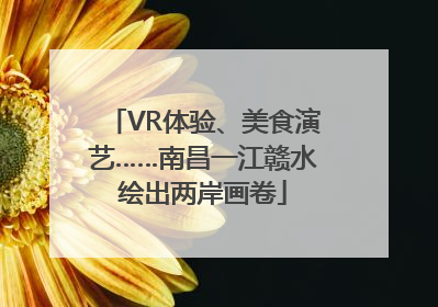 VR体验、美食演艺……南昌一江赣水绘出两岸画卷